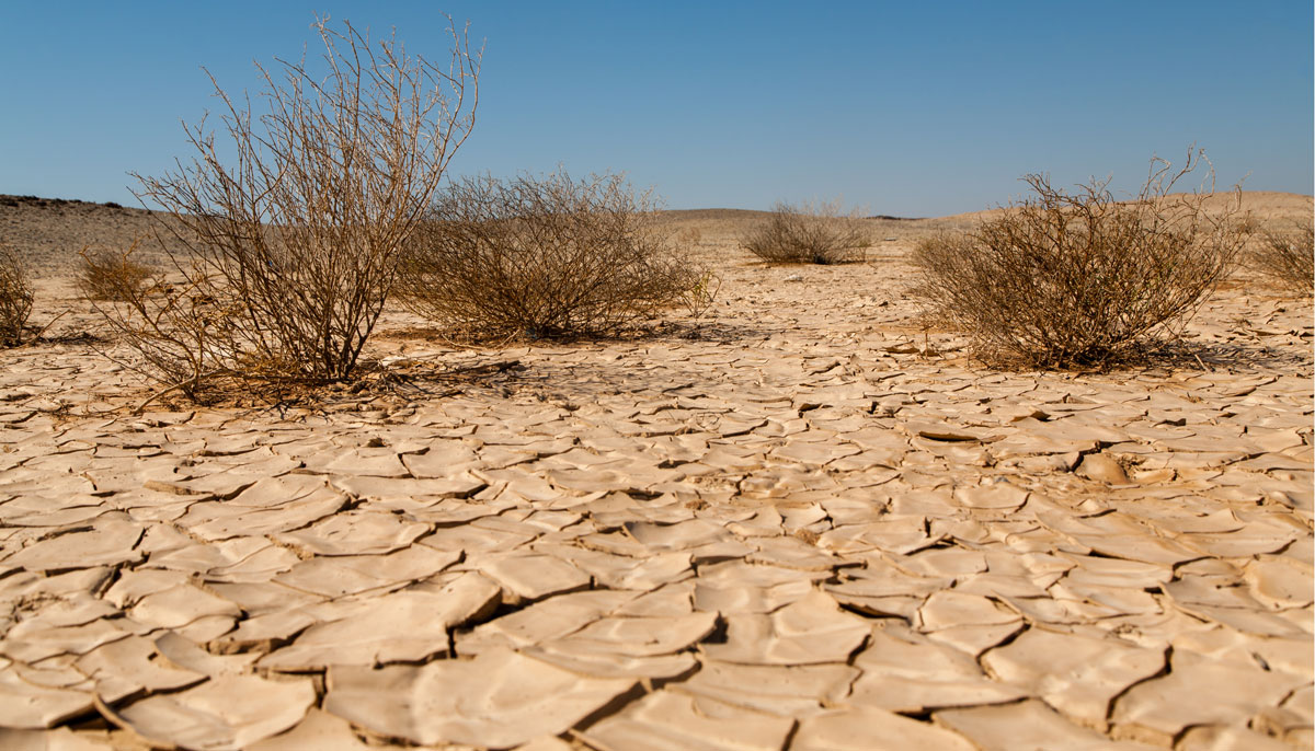 Desertification